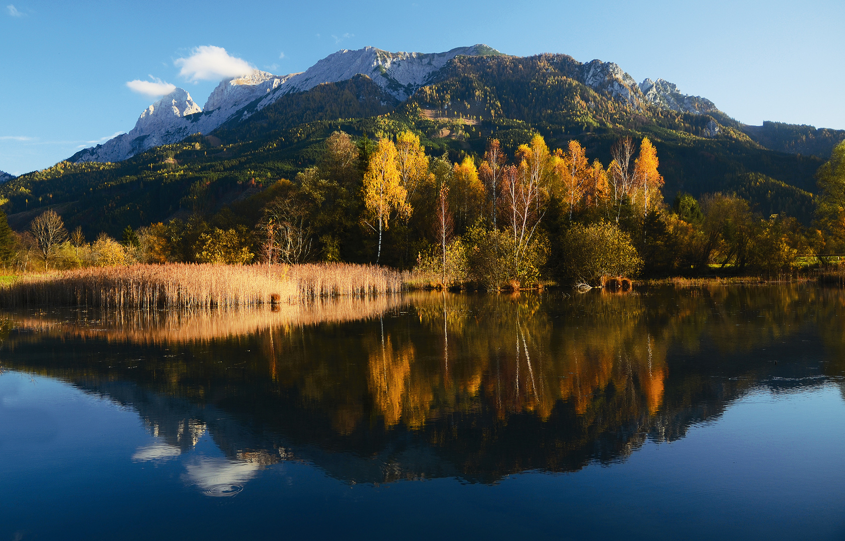 Autumn Colours