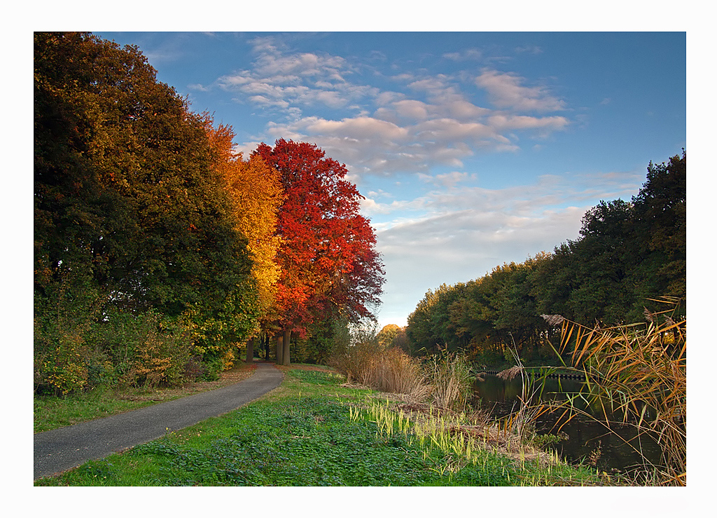 Autumn Colours.