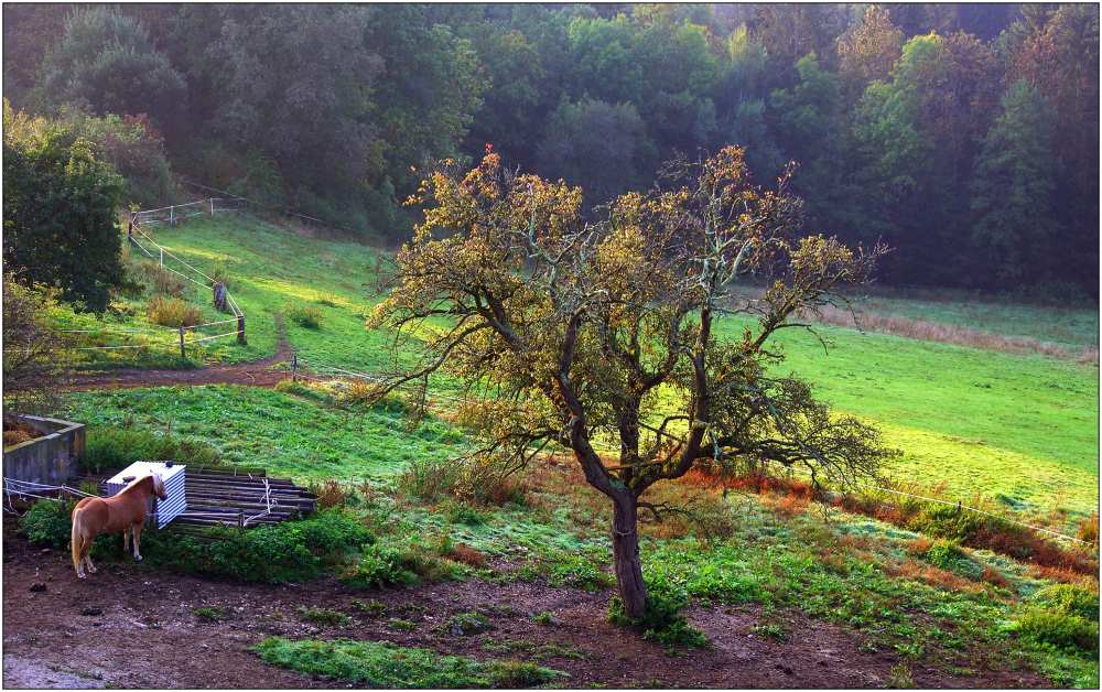 Autumn colours