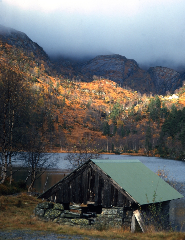 Autumn colours on a rainy afternoon