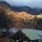 Autumn colours on a rainy afternoon