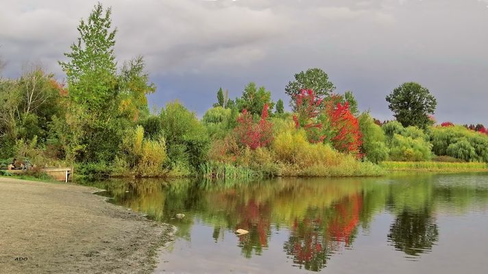 Autumn Comes to Trout Lake (2)