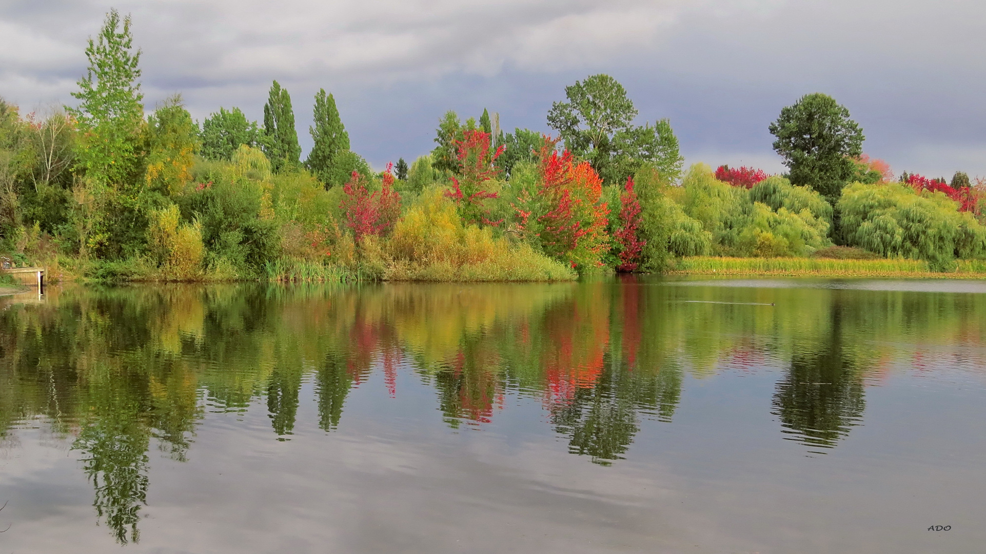 Autumn Comes to Trout Lake