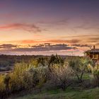 Autumn Cottage