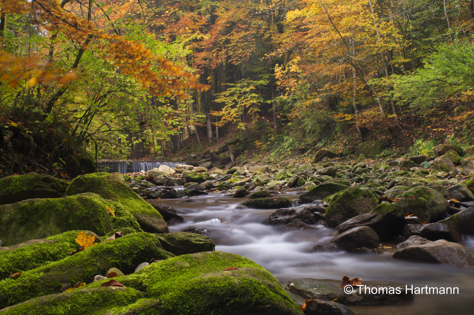 Autumn creek