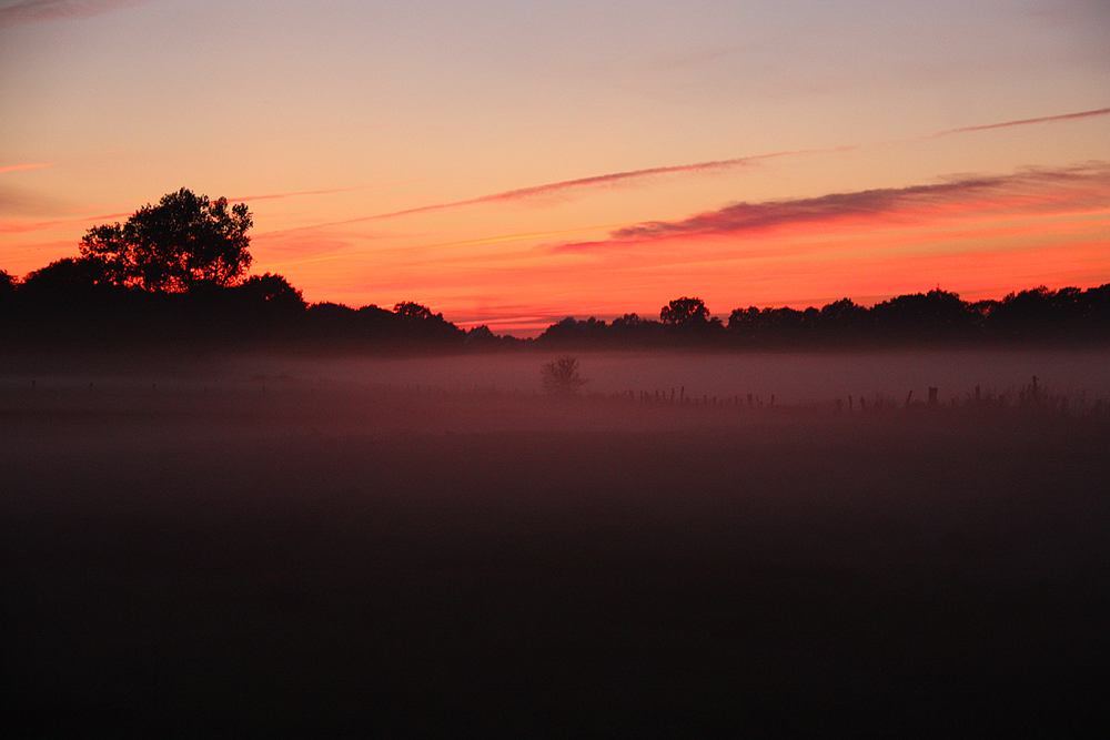 autumn dawn