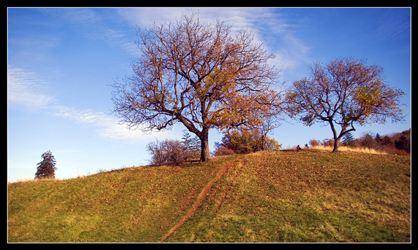 autumn day...