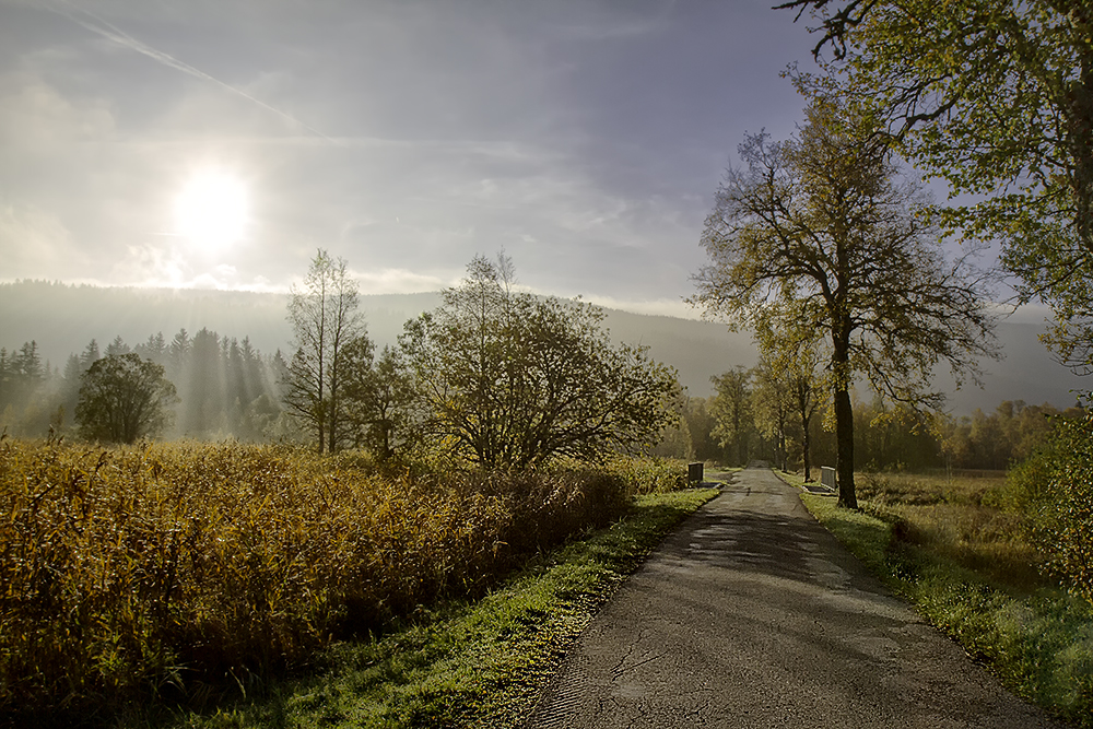 Autumn Day