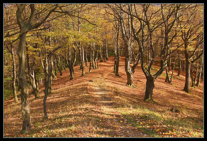 autumn day...