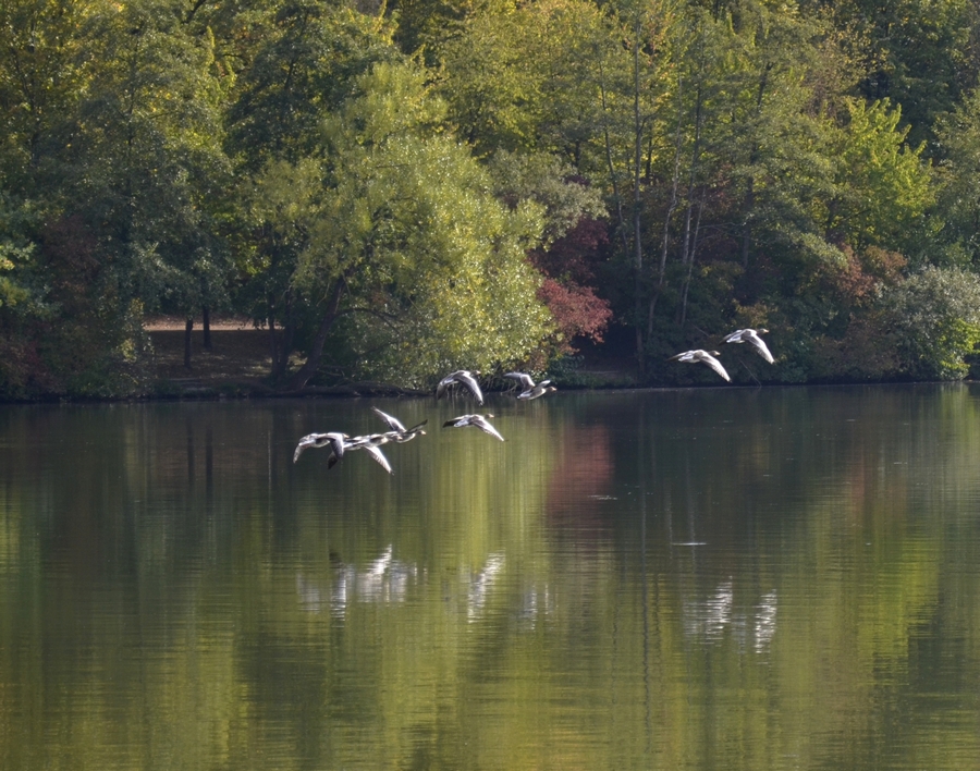 Autumn Days