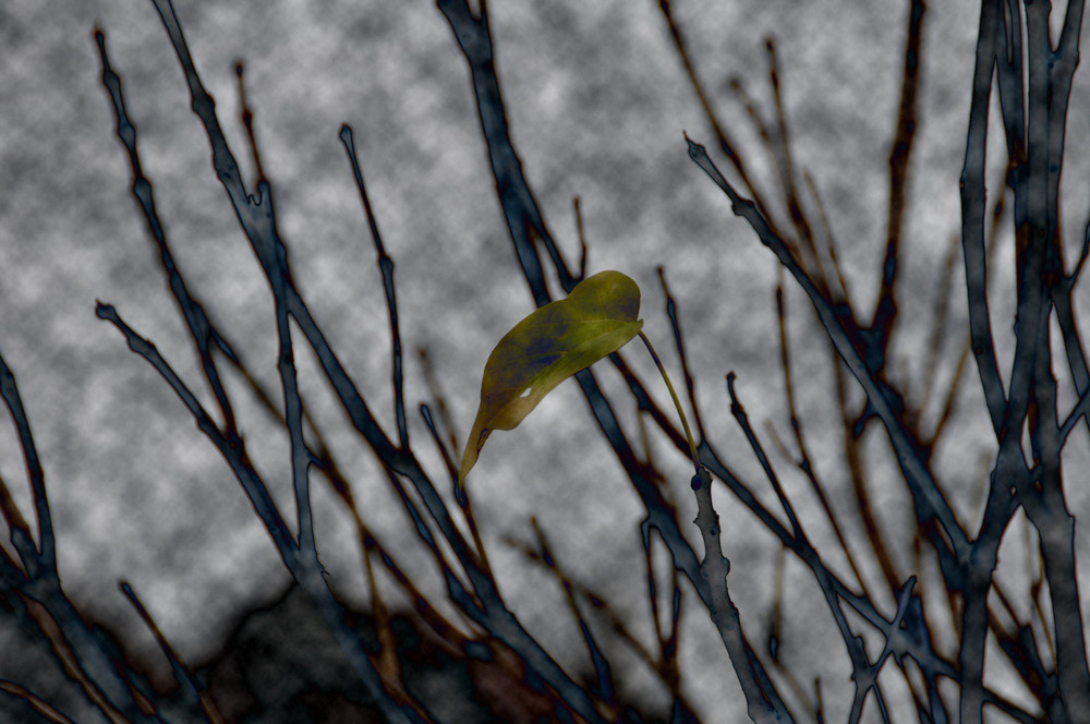 Autumn did its job... Almost... Nature is ready for winter...