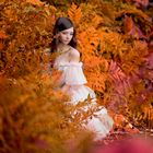 Autumn Dream