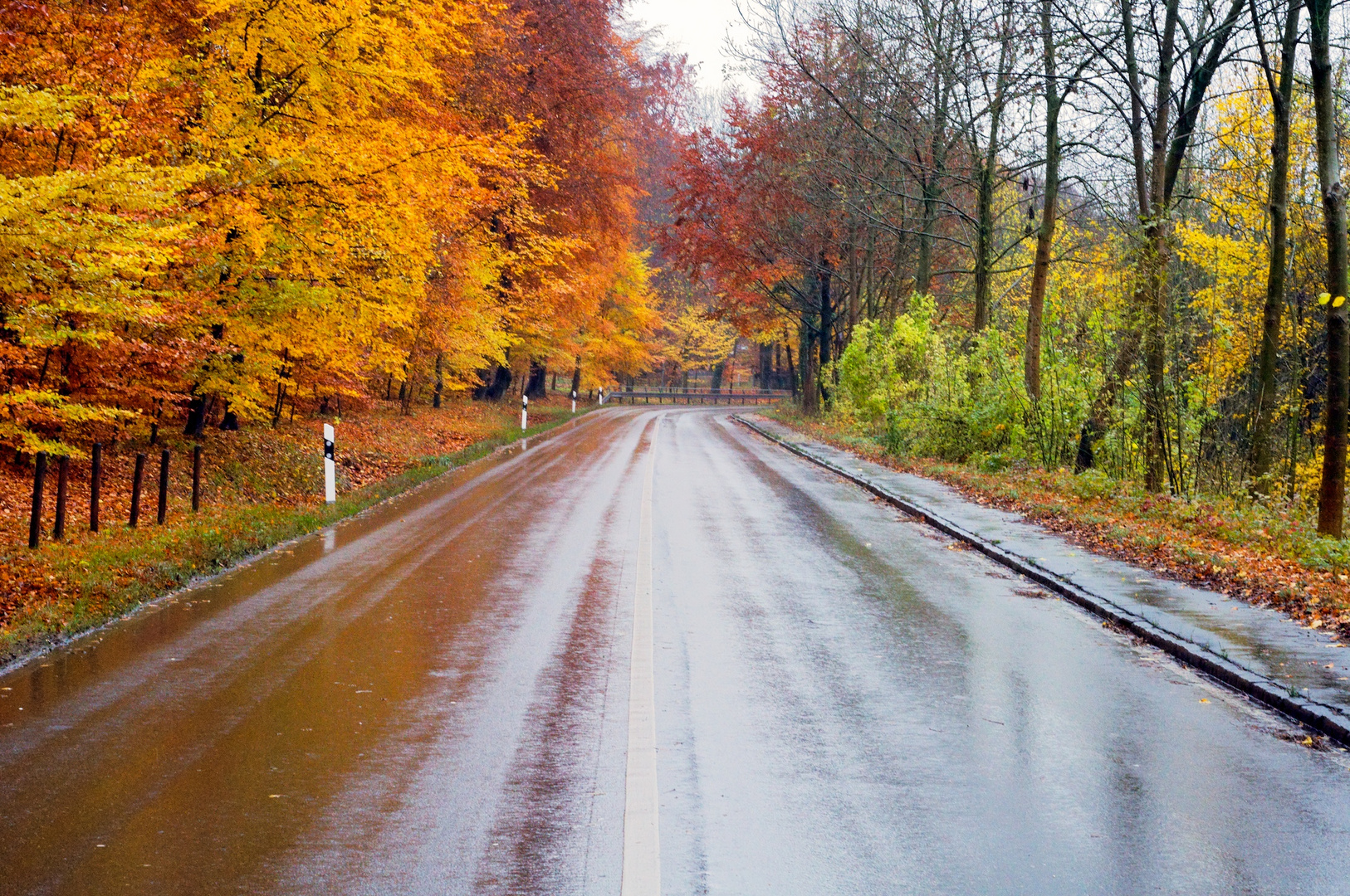 Autumn Drive