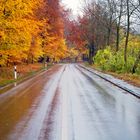 Autumn Drive