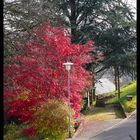 autumn driveway