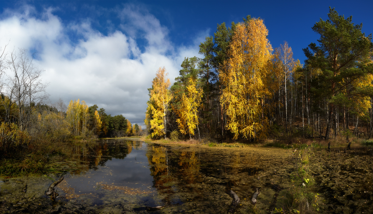 Autumn Etude