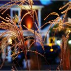 Autumn Evening, Main Street