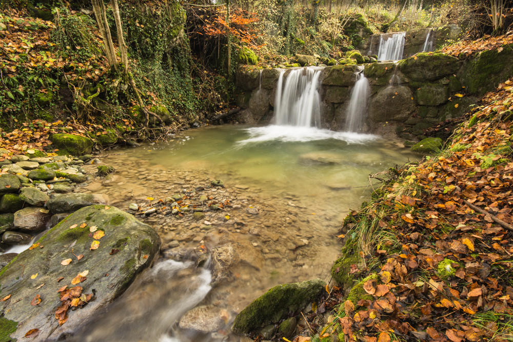 Autumn falls