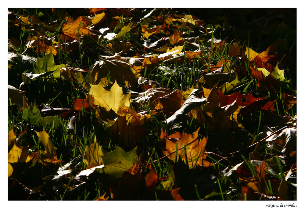 autumn feelings 3