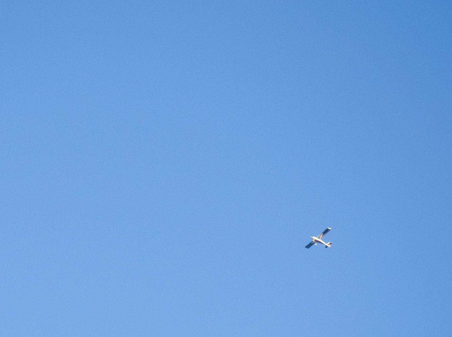 Autumn Flight