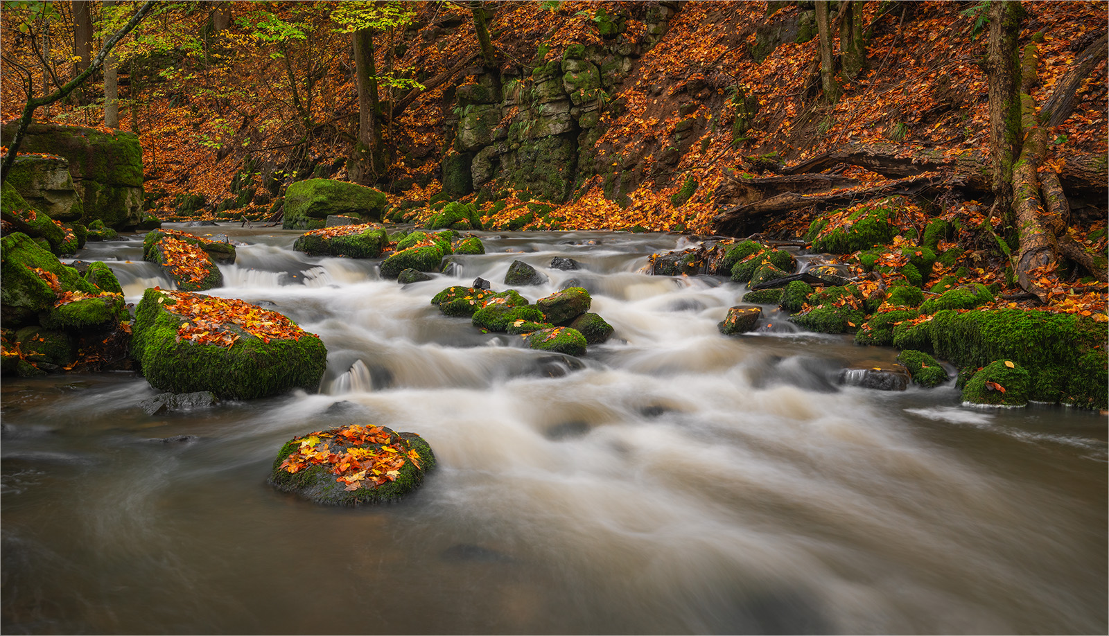 Autumn Flow