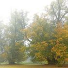 Autumn fog (1)