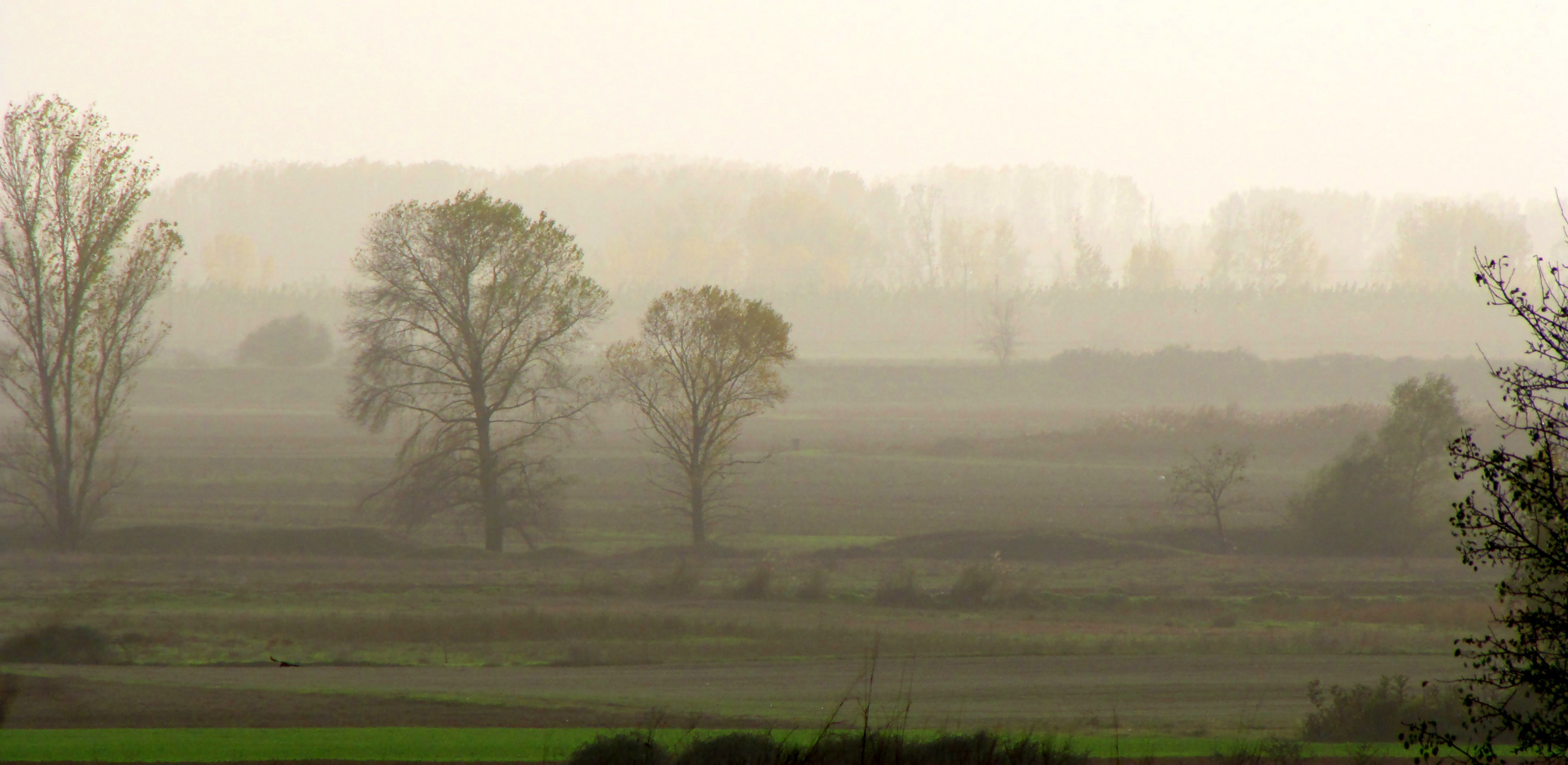 AUTUMN FOG IN NORTH GREECE..........