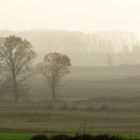 AUTUMN FOG IN NORTH GREECE..........