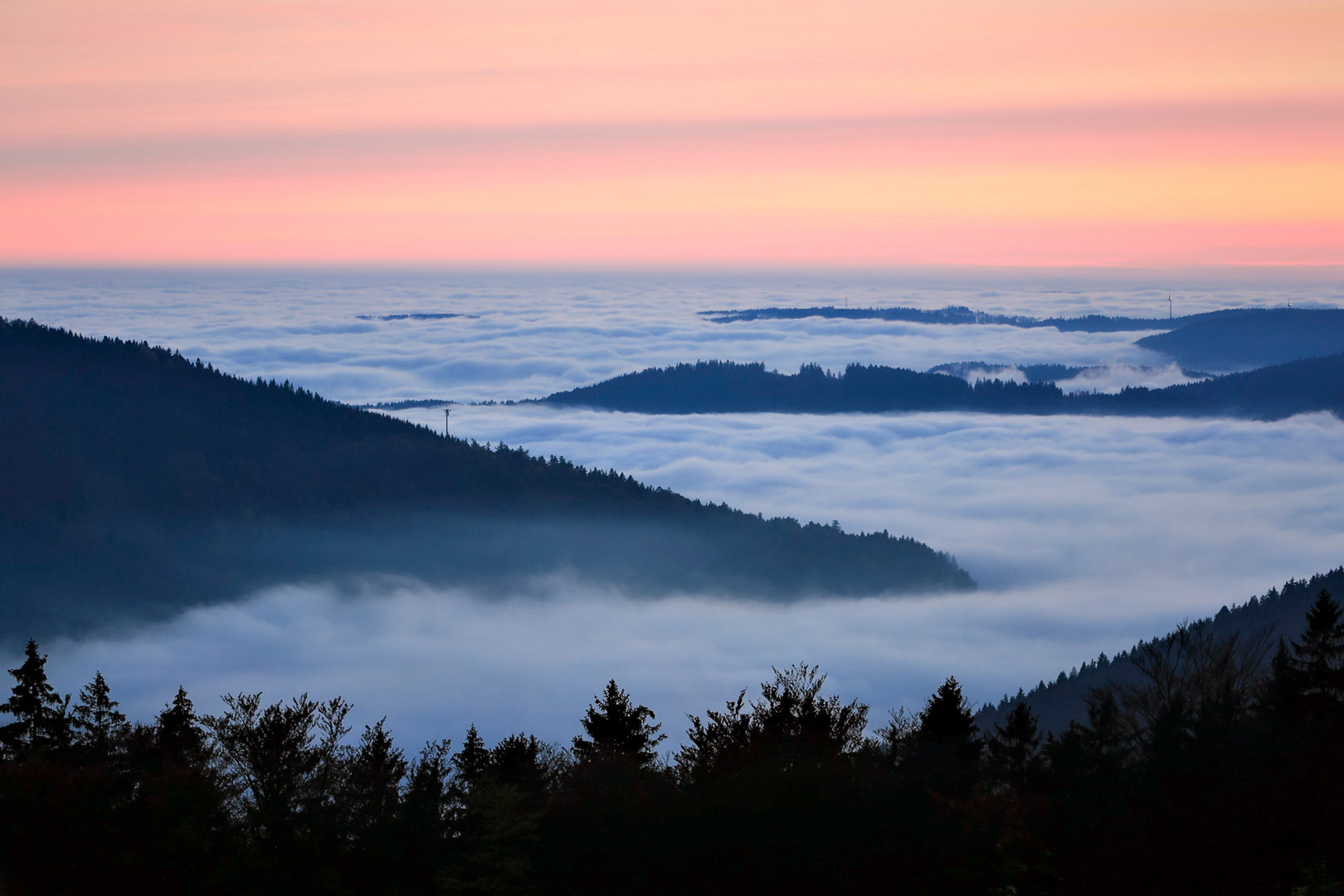 Autumn fog in the mountains