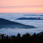 Autumn fog in the mountains