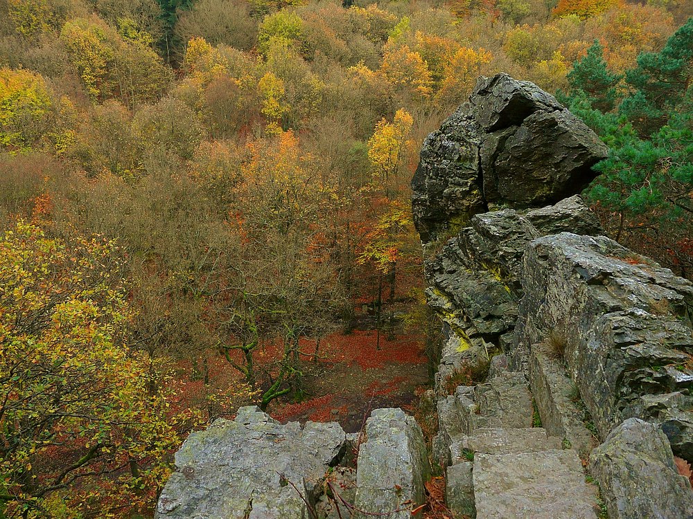 Autumn forest (4) : the Bilisse Rock