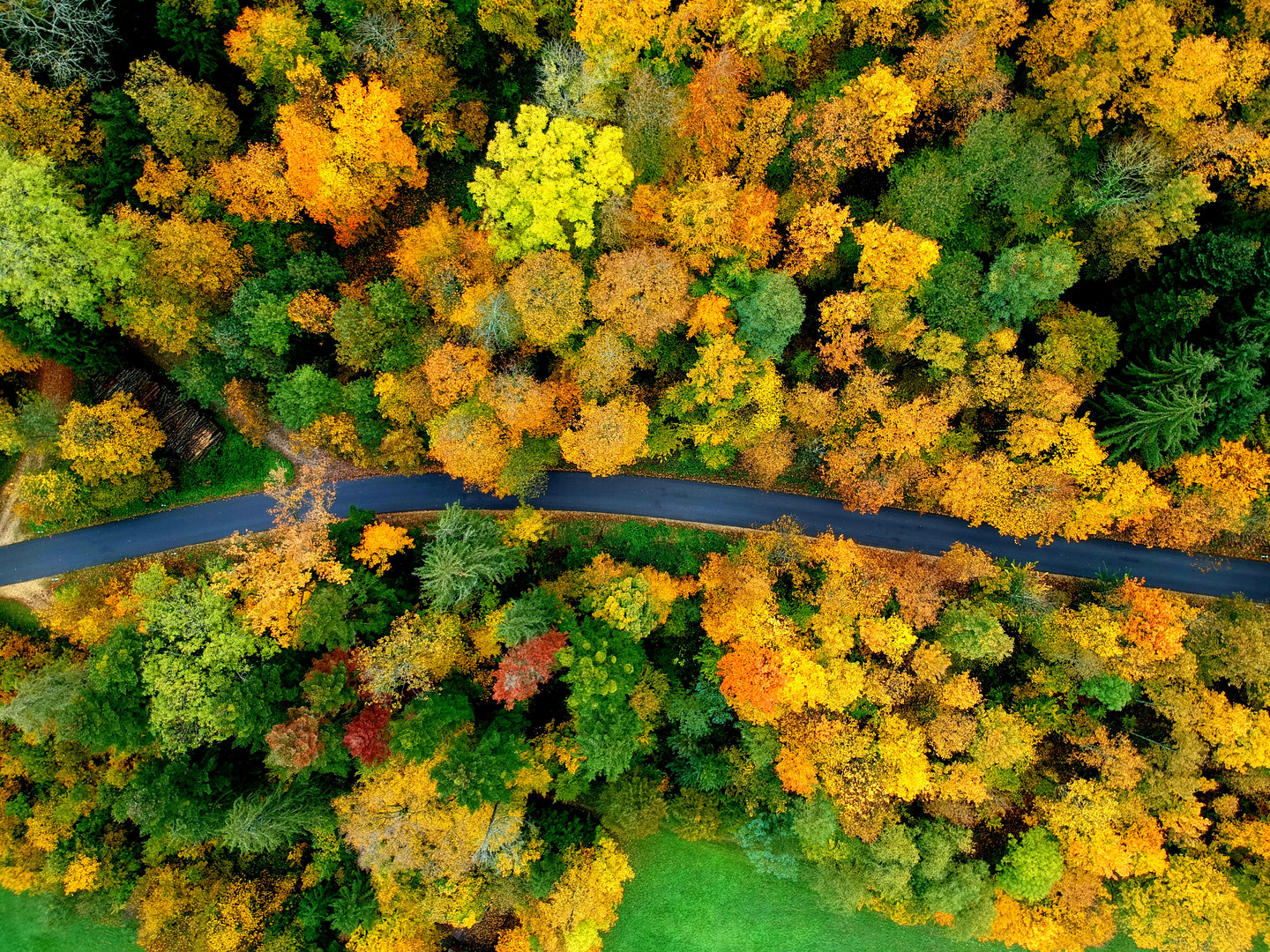 Autumn from above