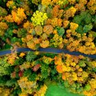 Autumn from above