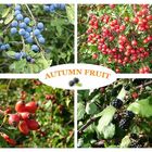 Autumn fruit