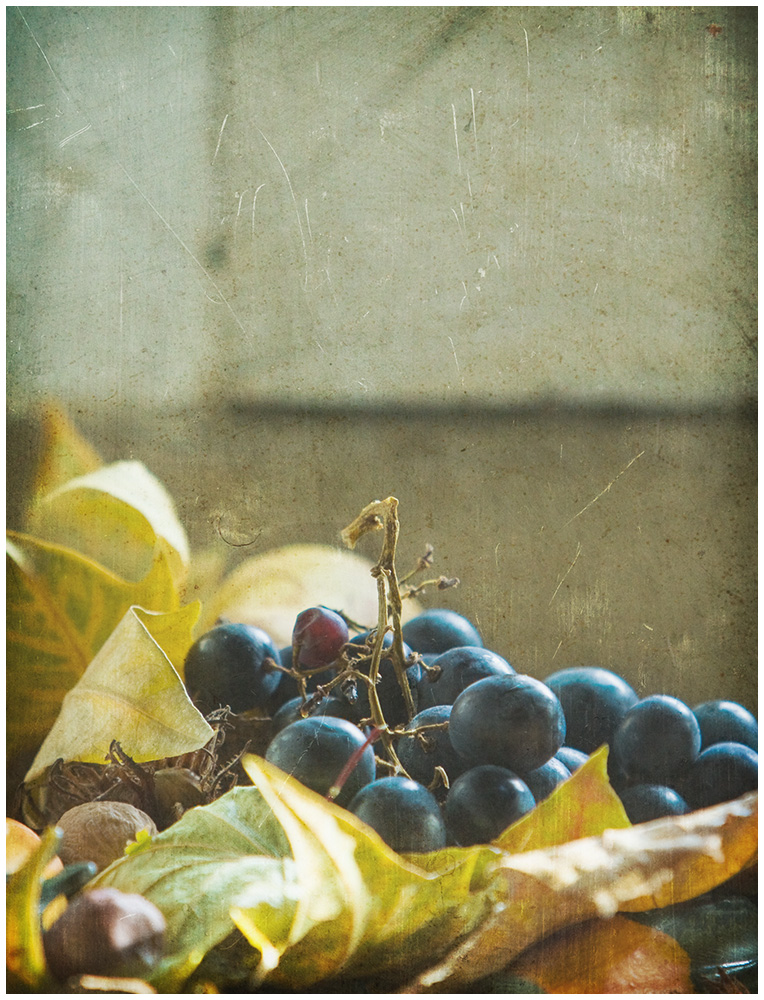 Autumn Fruit