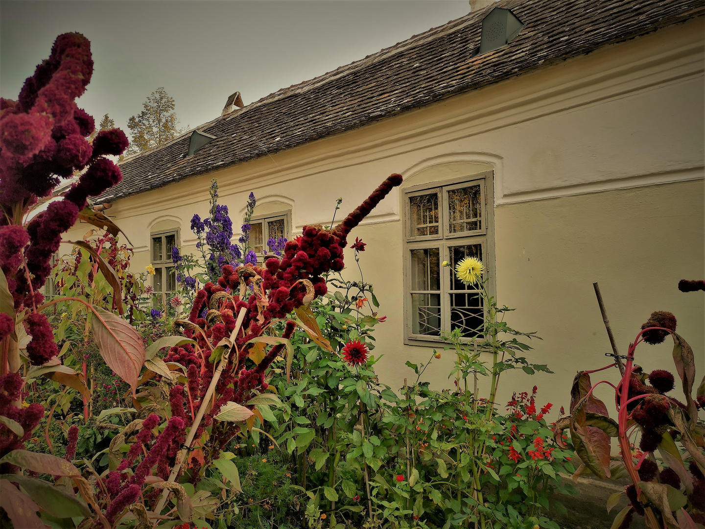 Autumn garden