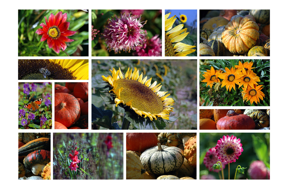 Autumn Garden - Herbstgarten - Jardin autumnal