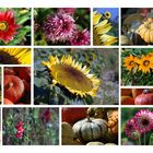 Autumn Garden - Herbstgarten - Jardin autumnal