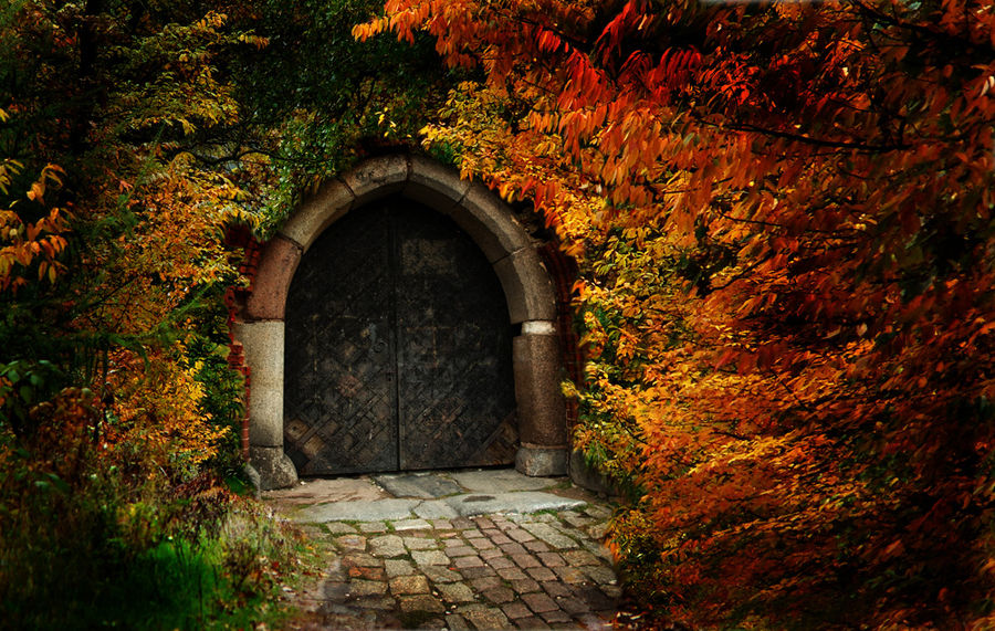 Autumn Gate