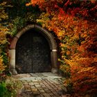 Autumn Gate