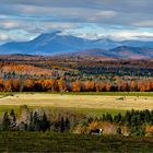 Autumn Hay Crop