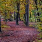 Autumn Hike