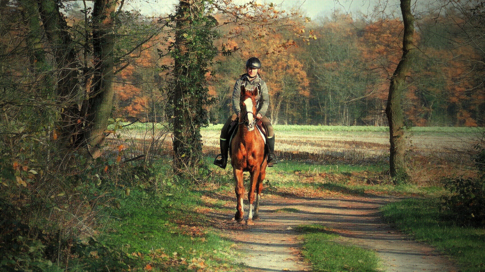 ... autumn horse riding