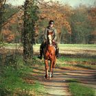 ... autumn horse riding