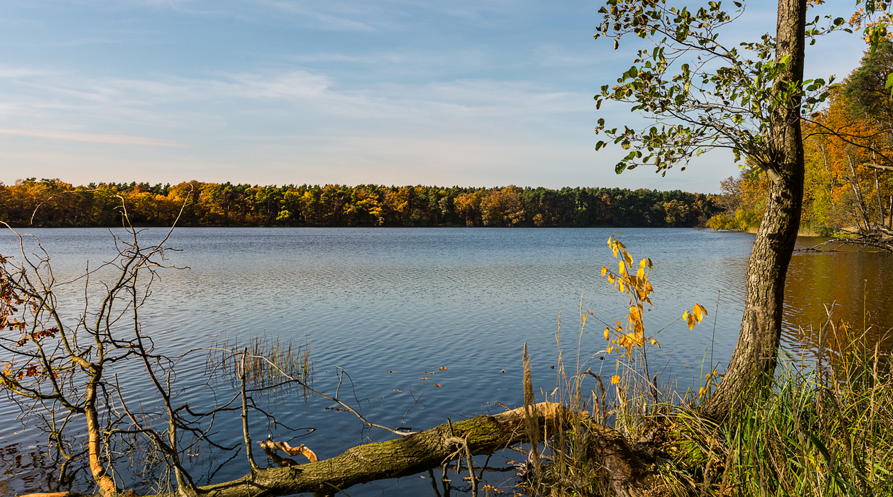 Autumn Impression