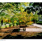 Autumn Impression, Quiet Waters Park