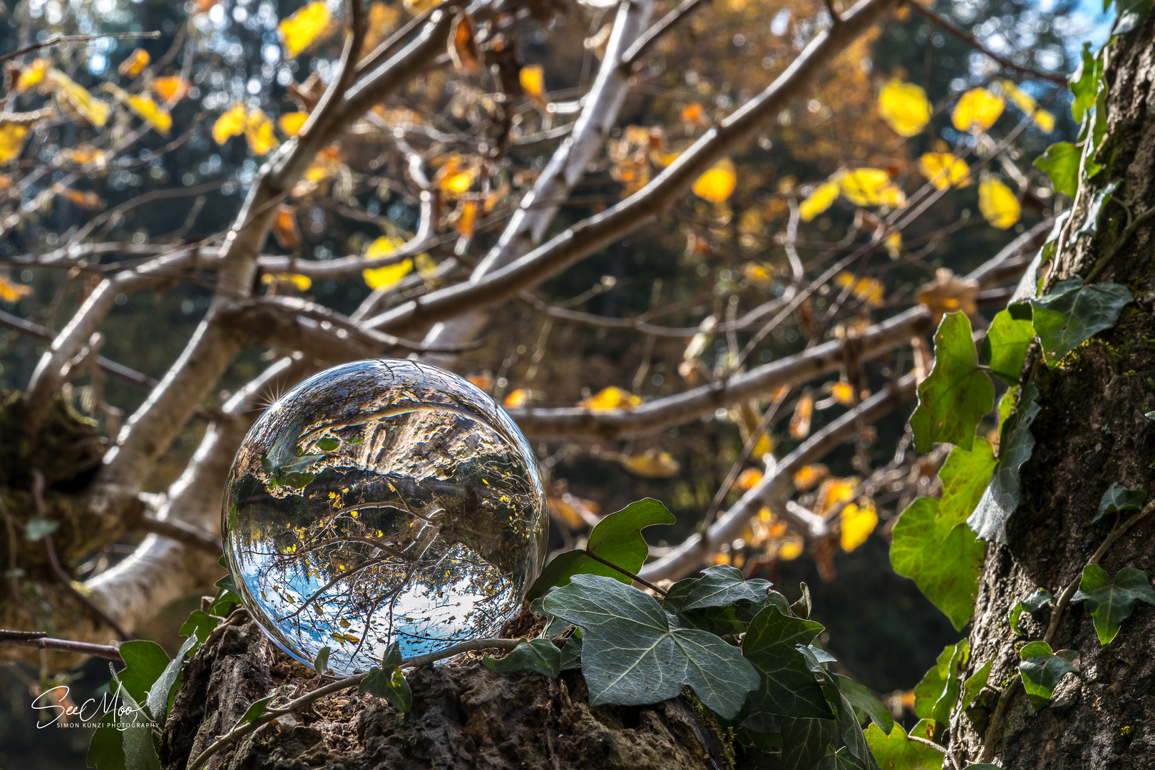 Autumn in a crystal ball