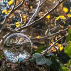 Autumn in a crystal ball