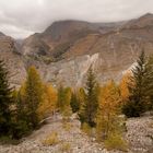 Autumn in Aletsch area