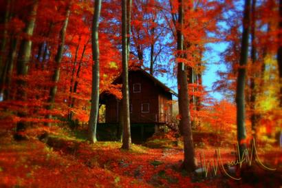 Autumn in Bavaria